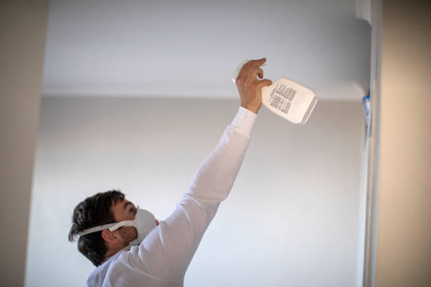 Best Mold Remediation for Specific Building Types in Harbour Heights, FL